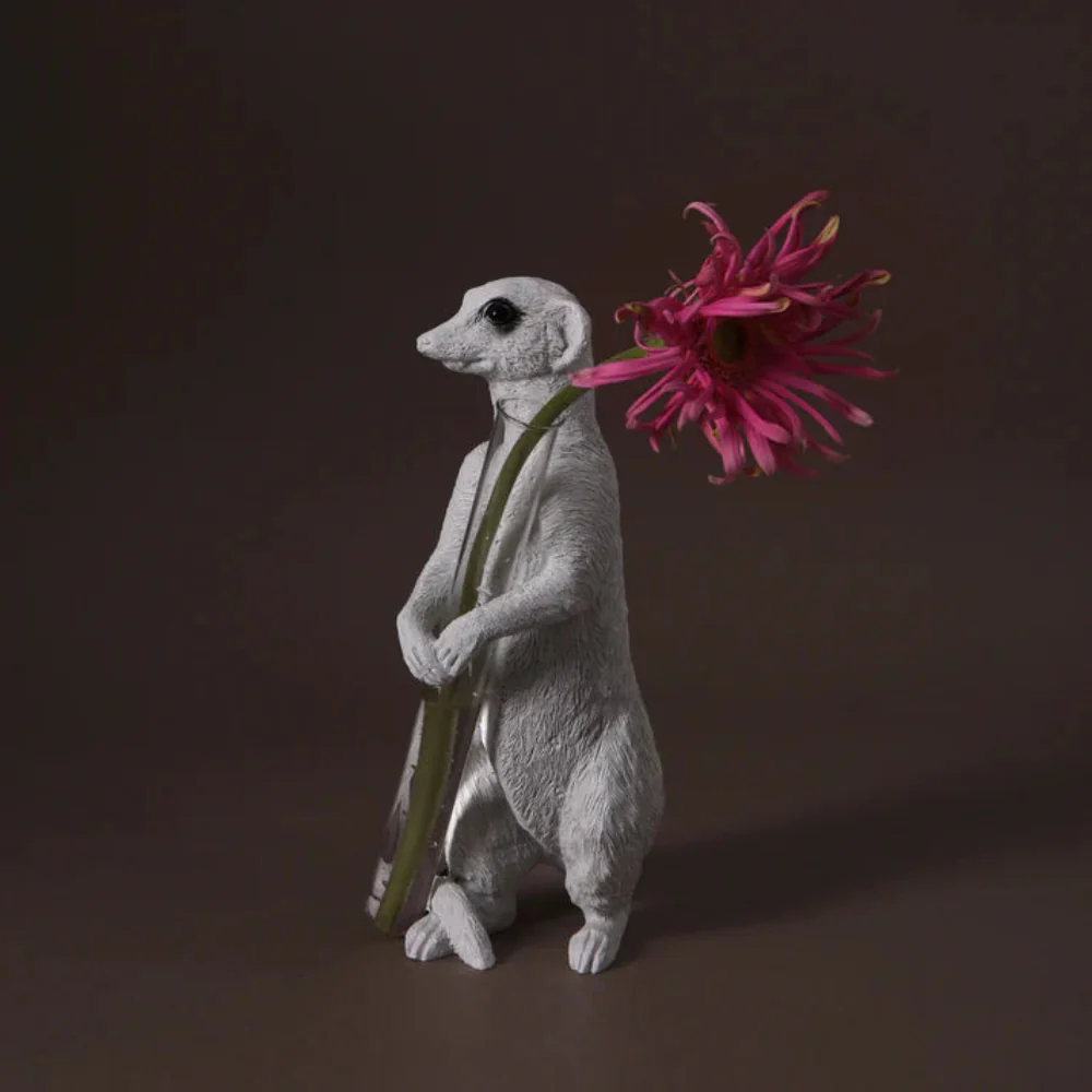 Meerkat Sit 02 - Image 3