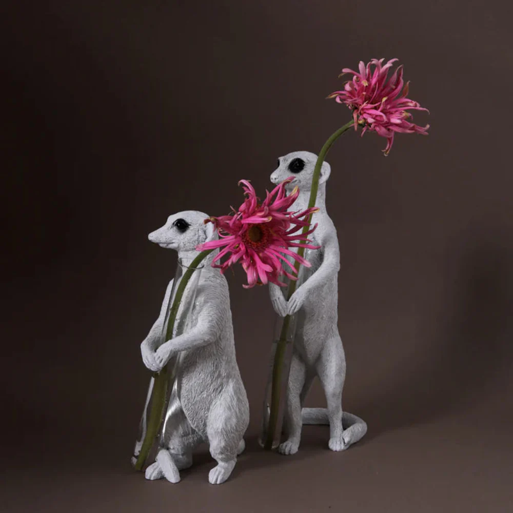 Meerkat Sit 02 - Image 4