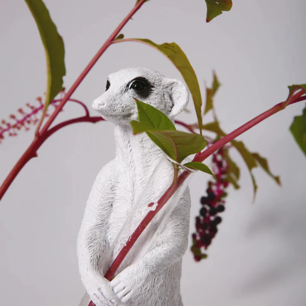 Meerkat Sit 02 - Image 6
