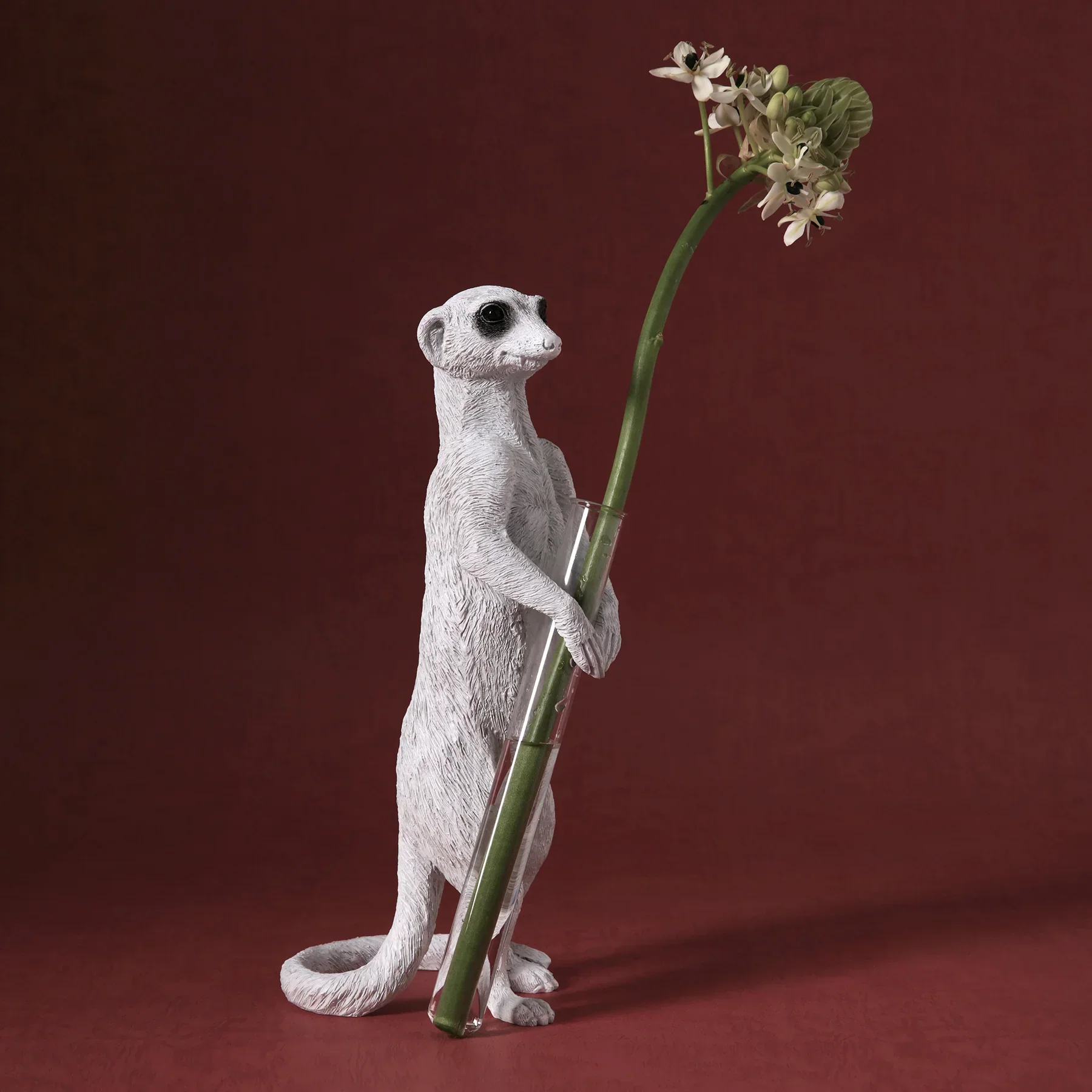 Meerkat Stand 01 - Image 4